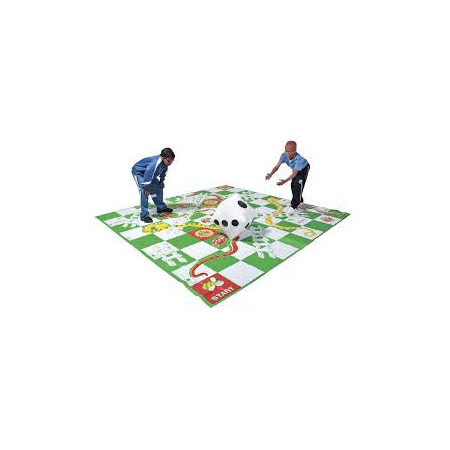 SNAKE AND LADDER GAME BIG